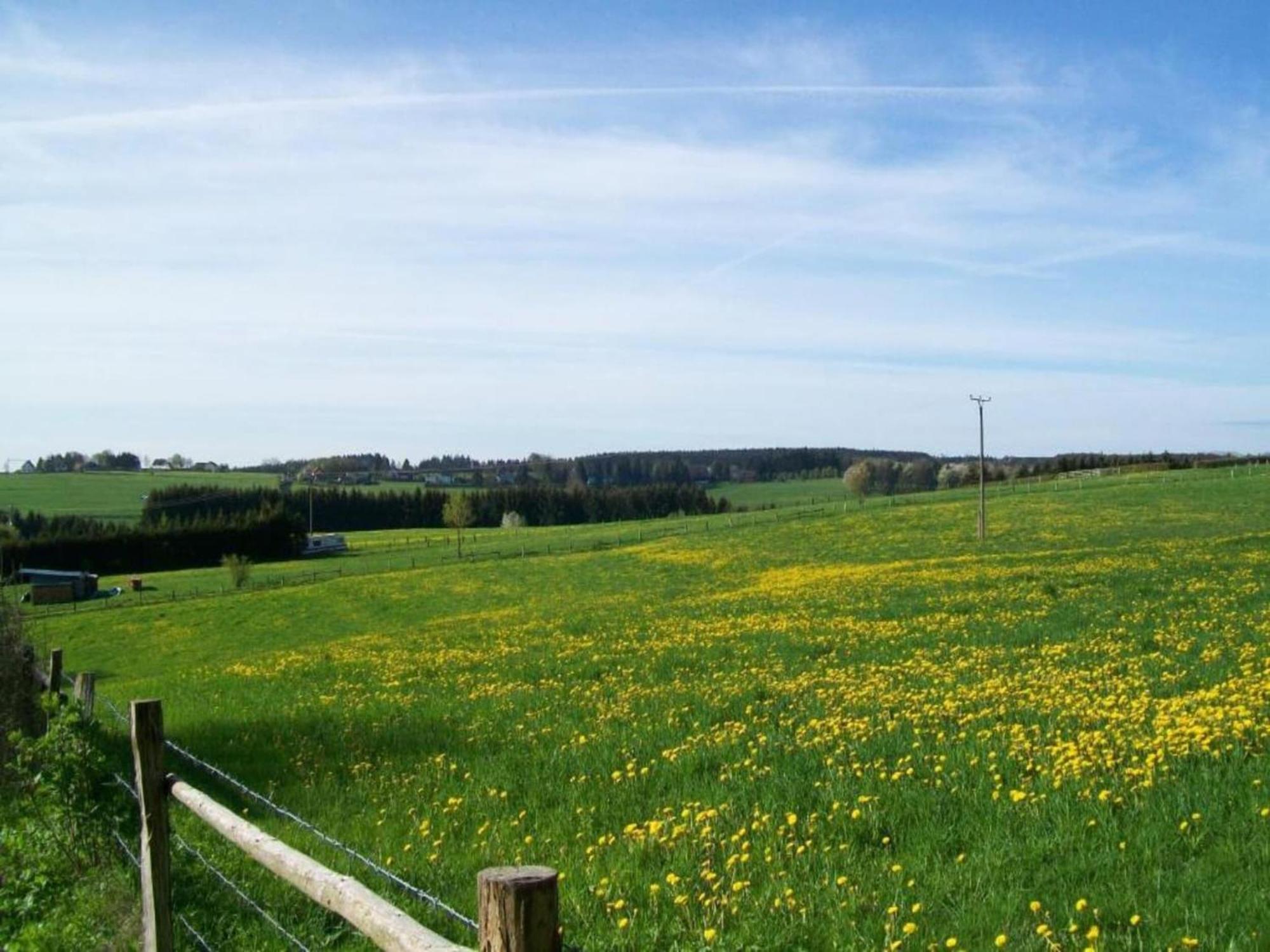 Holiday Home With Garden In Hellenthal Eifel Luaran gambar